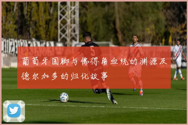 葡萄牙国脚与佛得角血统的渊源及德尔加多的归化故事