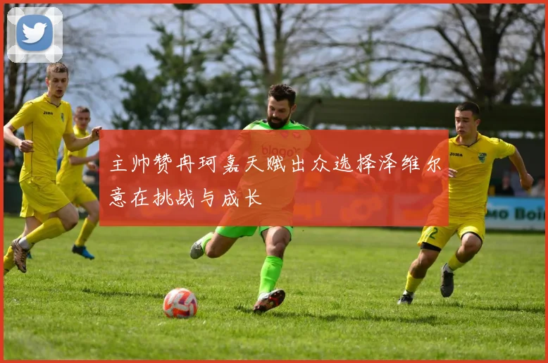 主帅赞冉珂嘉天赋出众选择泽维尔意在挑战与成长